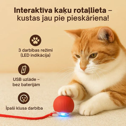 Interaktīva kaķu rotaļlieta, kas reaģē uz pieskārienu – jautras brīdis bez garlaicības